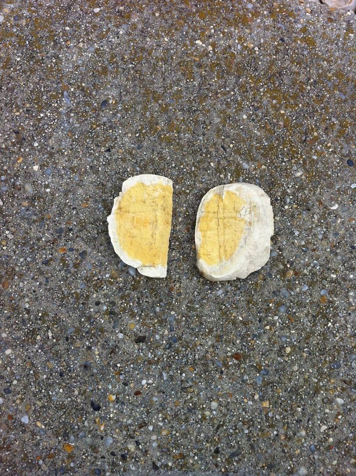 84 Times Things Looked Like Food, But You&#8217;d Probably Seriously Regret Eating Any Of It