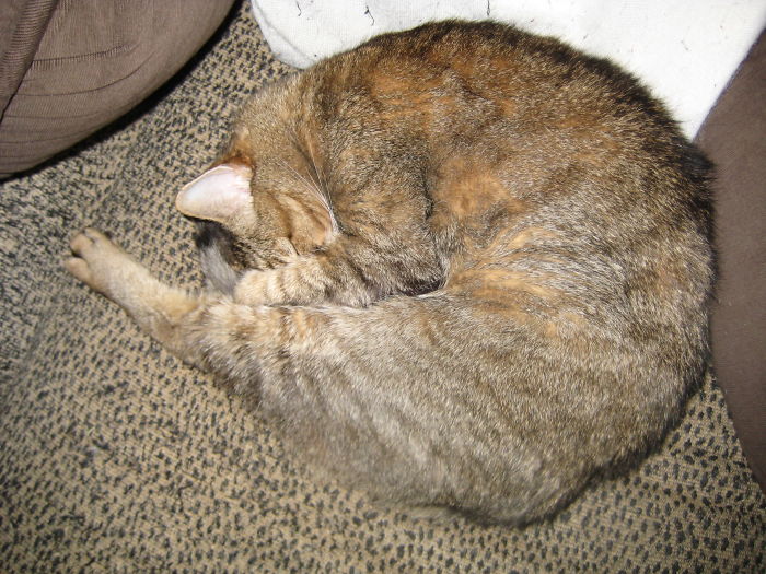 84 Times Things Looked Like Food, But You&#8217;d Probably Seriously Regret Eating Any Of It