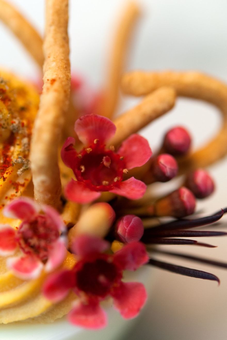 I Make Extra Fancy Deviled Eggs I Make Extra Fancy Deviled Eggs