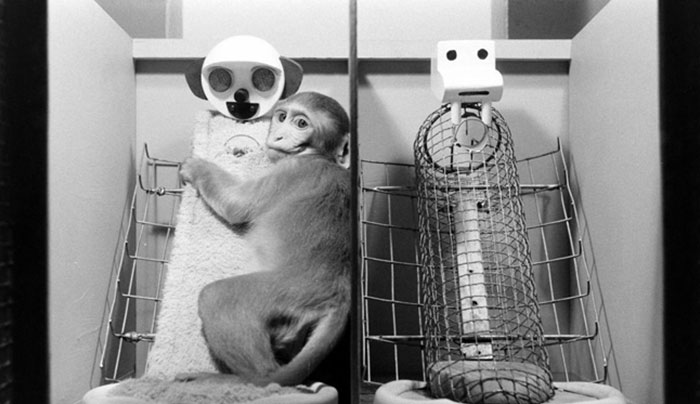 28 Psychological Experiments That Revealed Incredible And Uncomfortable Truths About Ourselves 28 Psychological Experiments That Revealed Incredible And Uncomfortable Truths About Ourselves