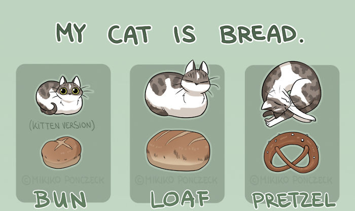 Artist Proves Cats Are More Bread Than You&#8217;d Think