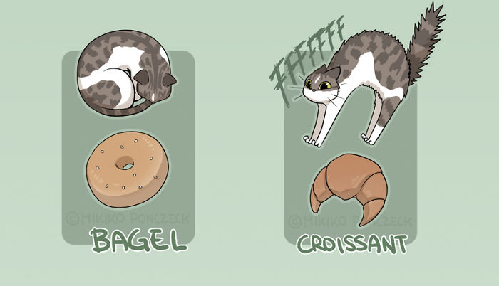 Artist Proves Cats Are More Bread Than You&#8217;d Think