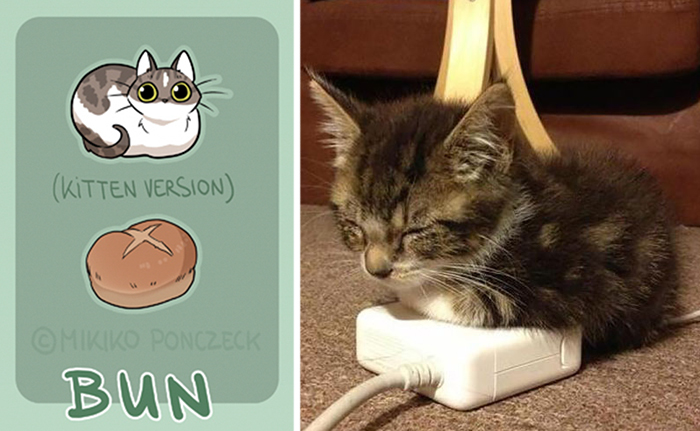 Artist Proves Cats Are More Bread Than You&#8217;d Think