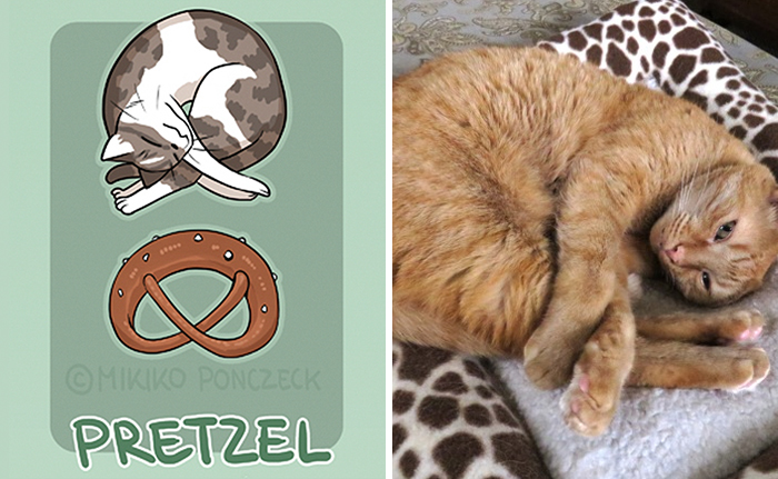 Artist Proves Cats Are More Bread Than You&#8217;d Think