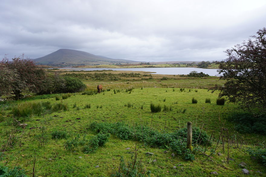 I Took These Delightful Photos While Biking Ireland&#8217;s Great Western Greenway