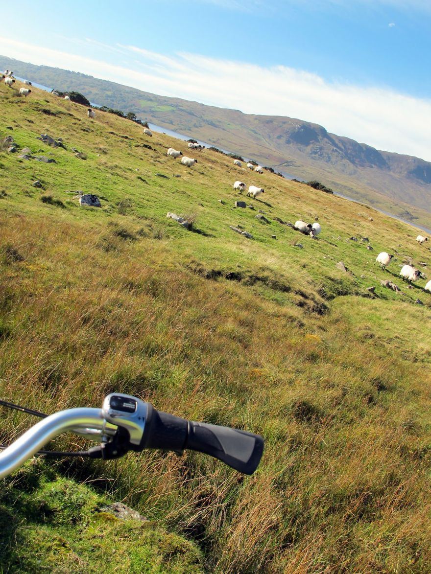 I Took These Delightful Photos While Biking Ireland&#8217;s Great Western Greenway