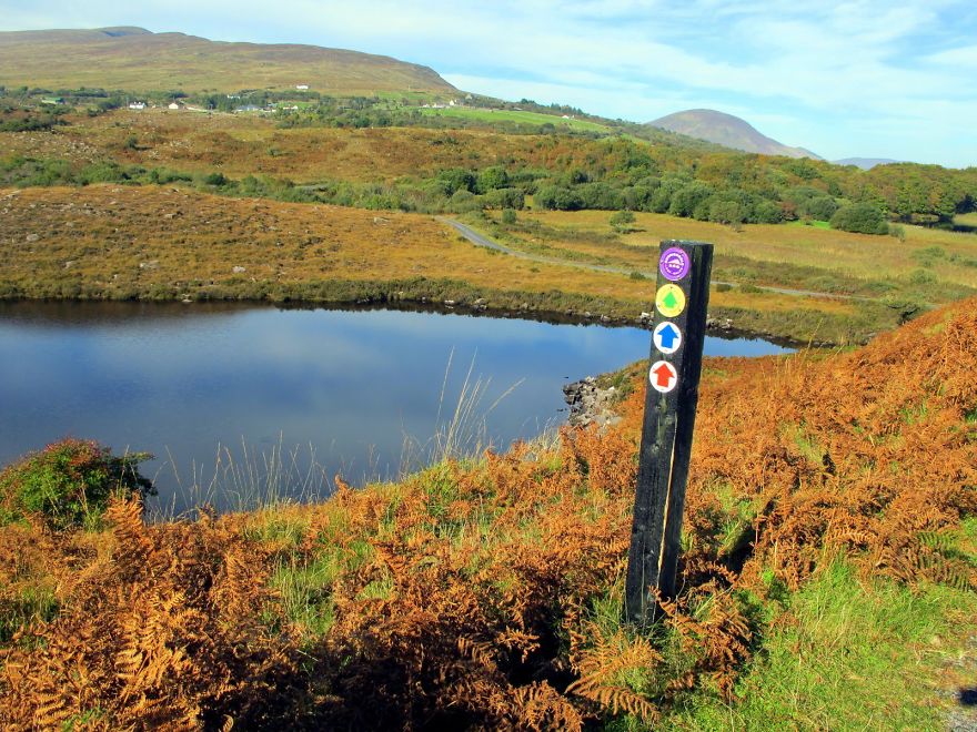 I Took These Delightful Photos While Biking Ireland&#8217;s Great Western Greenway