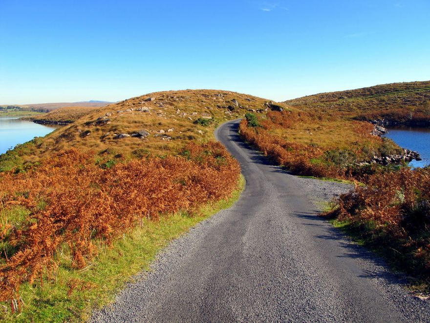 I Took These Delightful Photos While Biking Ireland&#8217;s Great Western Greenway