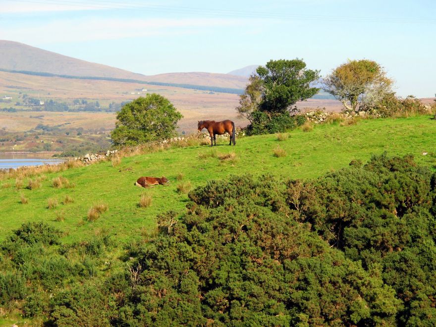 I Took These Delightful Photos While Biking Ireland&#8217;s Great Western Greenway
