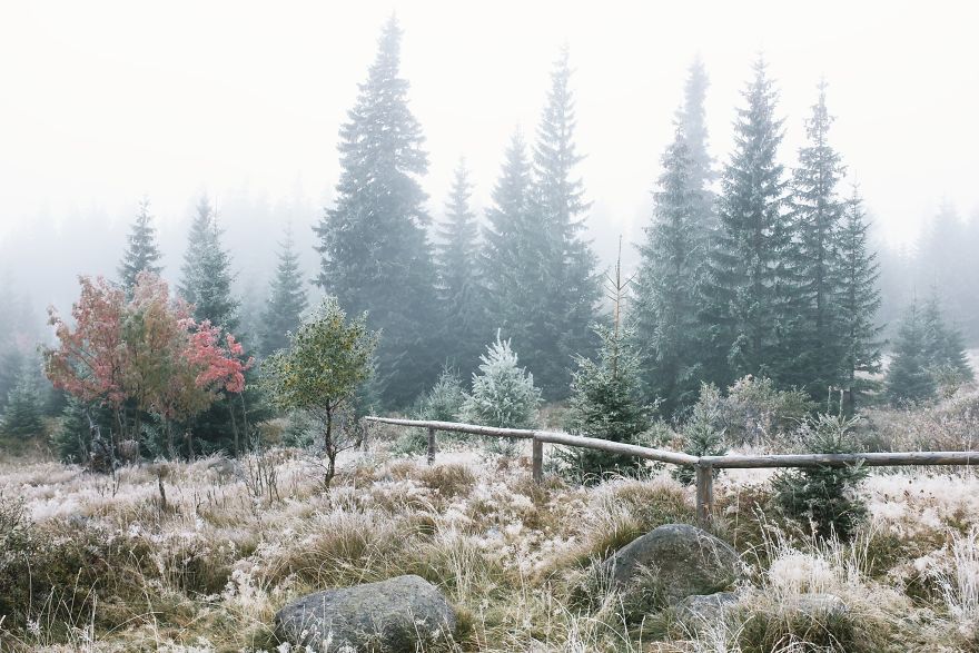 Incredible Temperature Inversion In The Karkonosze Mountains
