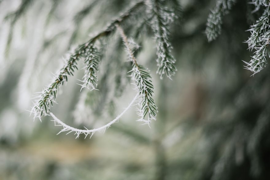 Incredible Temperature Inversion In The Karkonosze Mountains Incredible Temperature Inversion In The Karkonosze Mountains