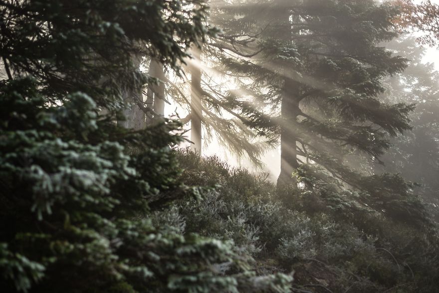 Incredible Temperature Inversion In The Karkonosze Mountains