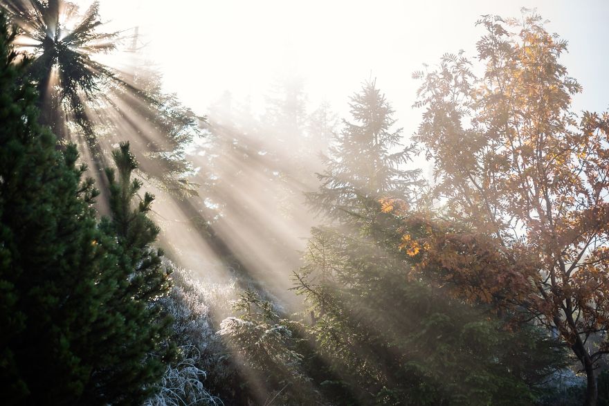 Incredible Temperature Inversion In The Karkonosze Mountains