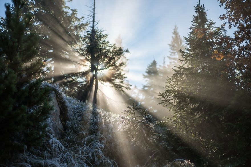 Incredible Temperature Inversion In The Karkonosze Mountains
