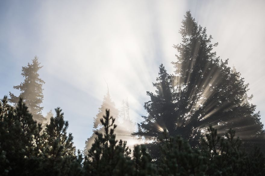 Incredible Temperature Inversion In The Karkonosze Mountains