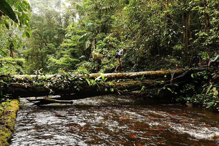 Why Is Field Biology The Most Beautiful Job In The World Why Is Field Biology The Most Beautiful Job In The World