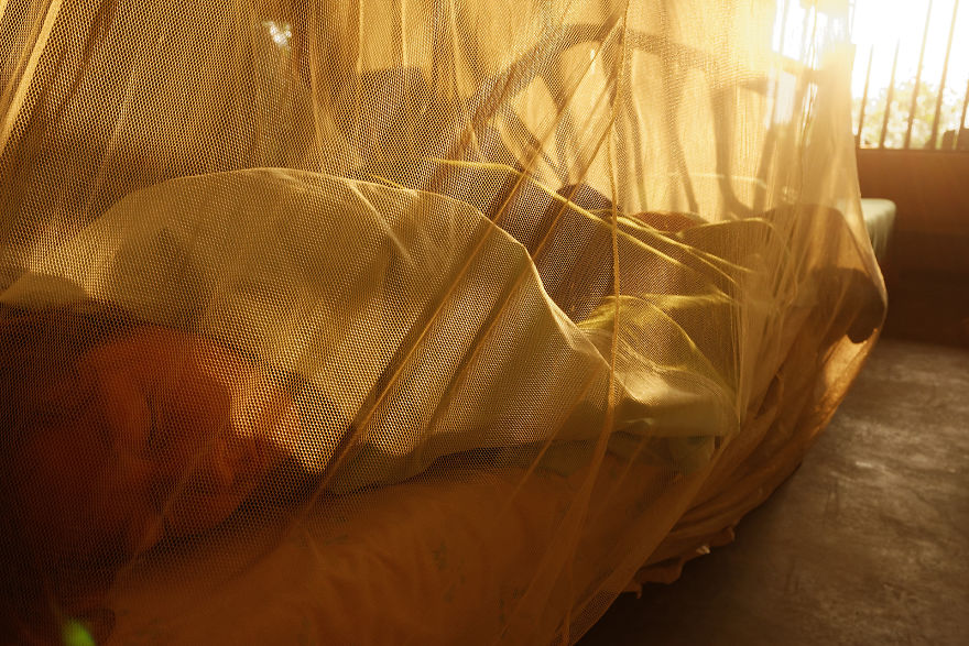 Why Is Field Biology The Most Beautiful Job In The World Why Is Field Biology The Most Beautiful Job In The World