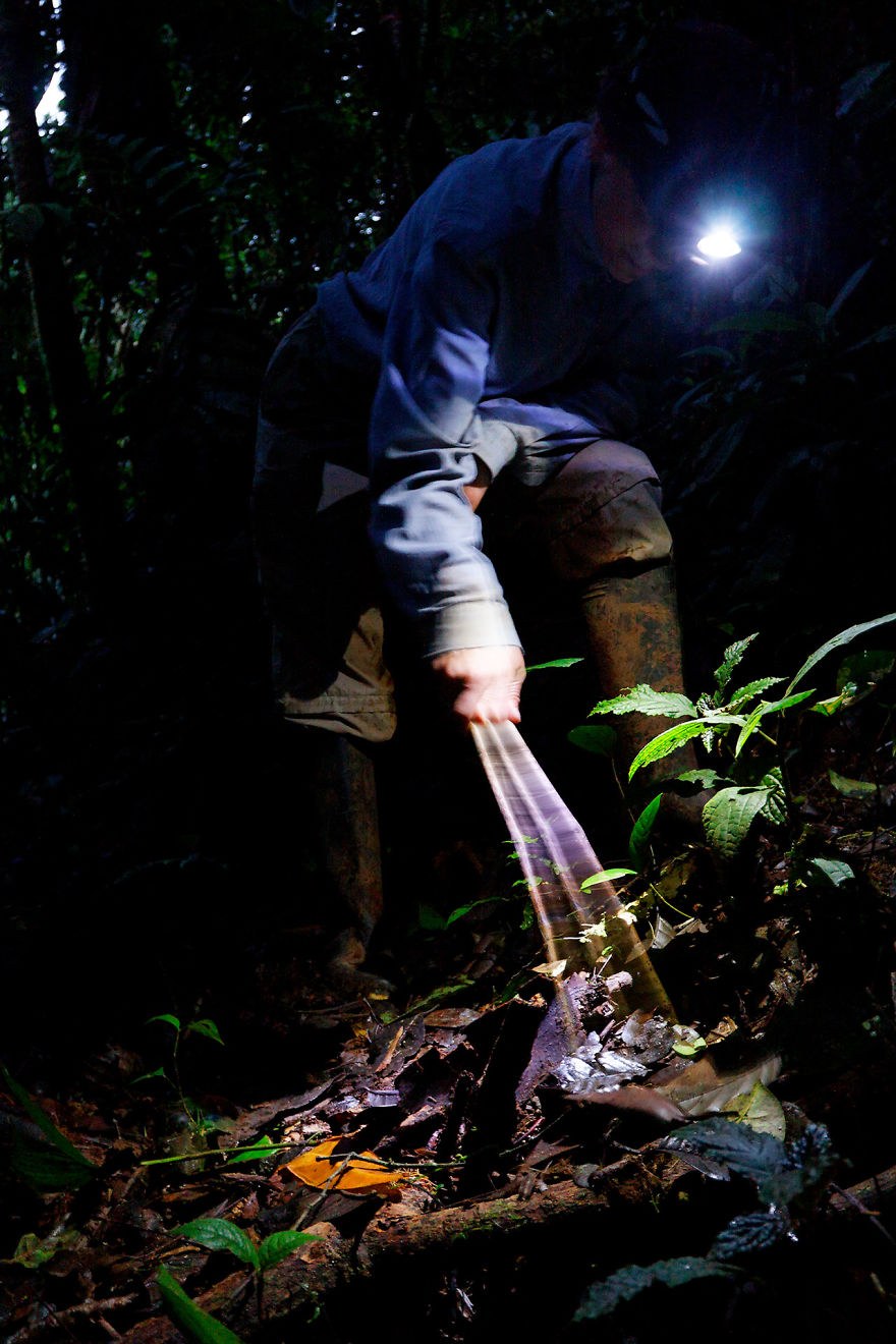 Why Is Field Biology The Most Beautiful Job In The World Why Is Field Biology The Most Beautiful Job In The World