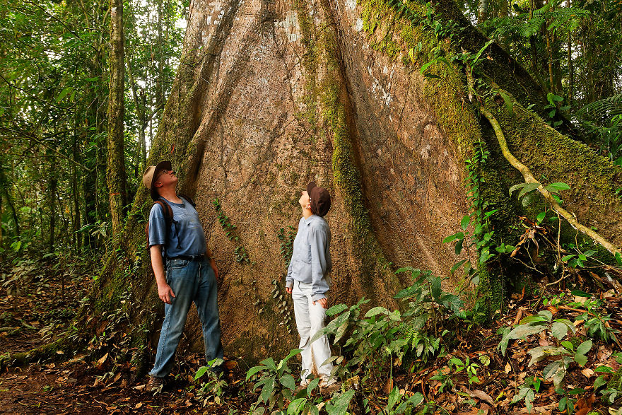 Why Is Field Biology The Most Beautiful Job In The World Why Is Field Biology The Most Beautiful Job In The World