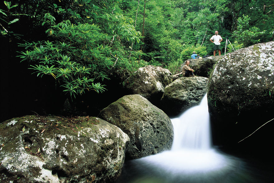 Why Is Field Biology The Most Beautiful Job In The World Why Is Field Biology The Most Beautiful Job In The World