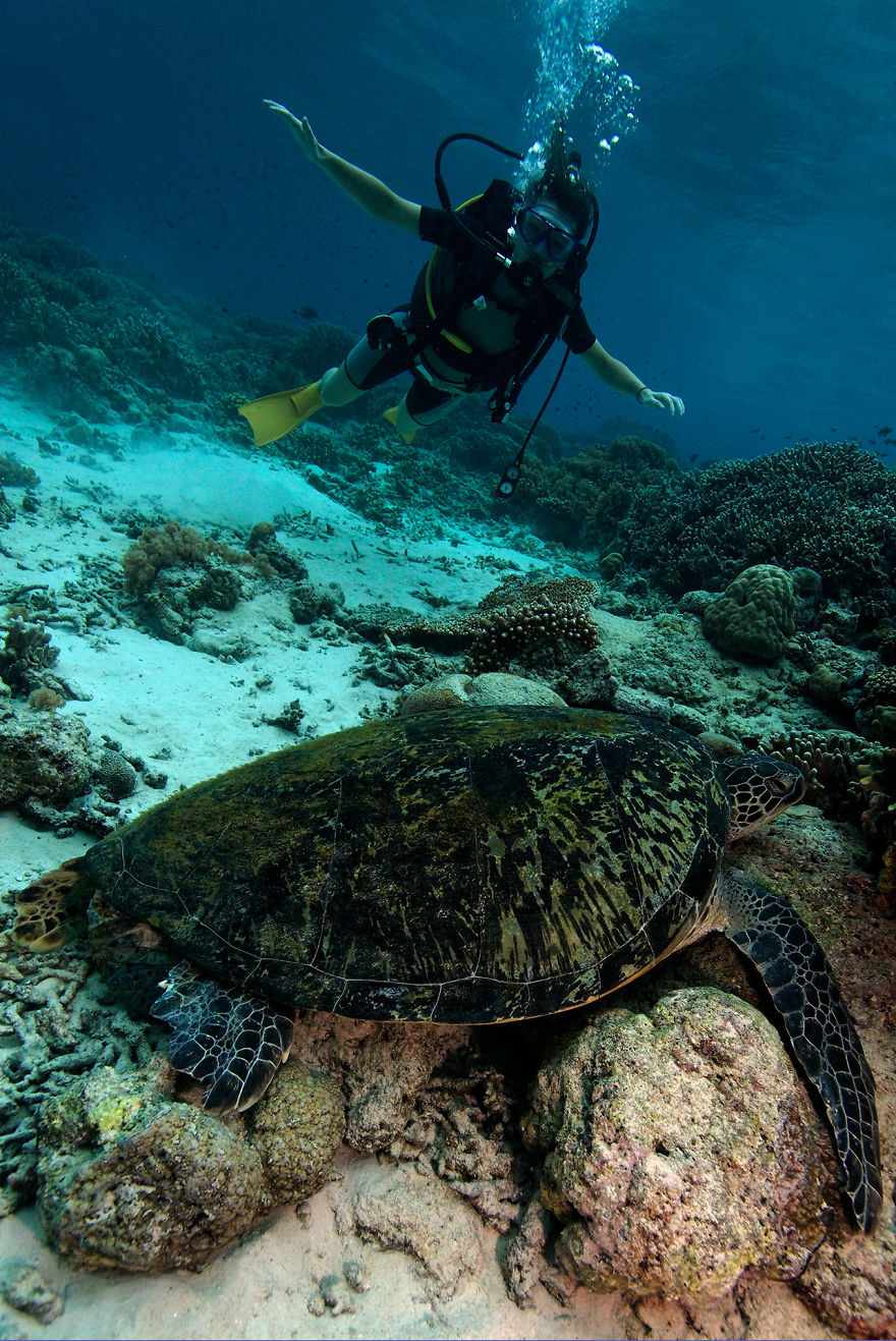 Why Is Field Biology The Most Beautiful Job In The World Why Is Field Biology The Most Beautiful Job In The World