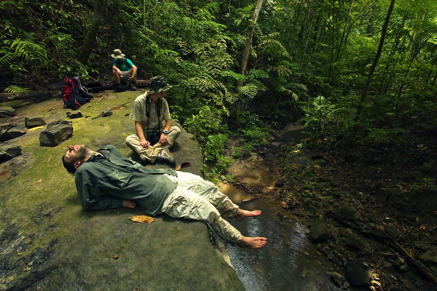 Why Is Field Biology The Most Beautiful Job In The World Why Is Field Biology The Most Beautiful Job In The World