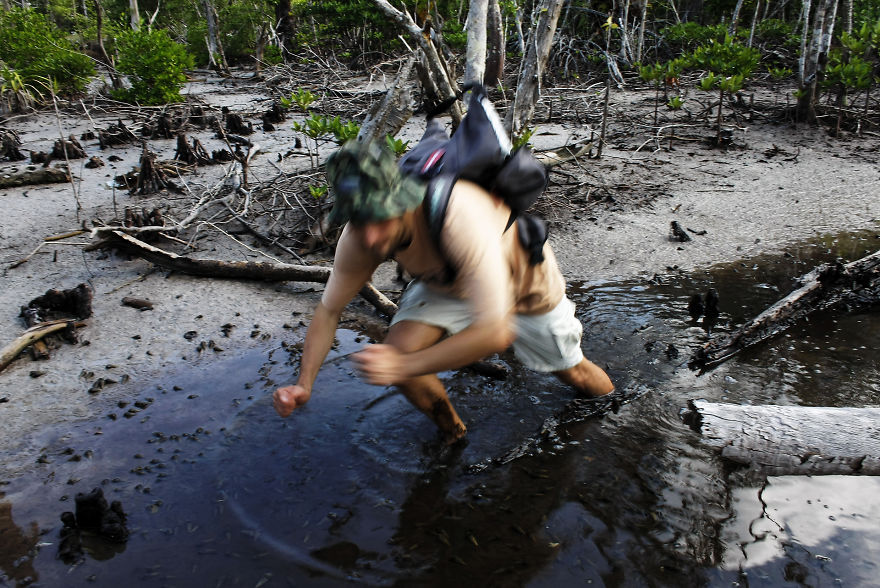 Why Is Field Biology The Most Beautiful Job In The World Why Is Field Biology The Most Beautiful Job In The World