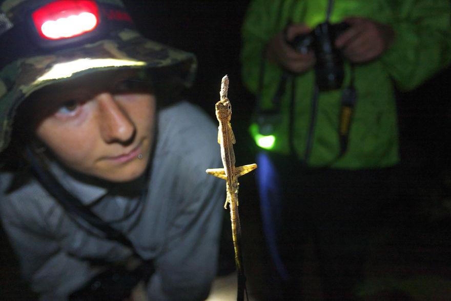 Why Is Field Biology The Most Beautiful Job In The World Why Is Field Biology The Most Beautiful Job In The World