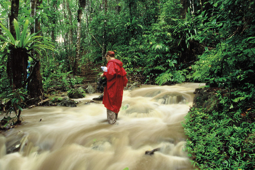 Why Is Field Biology The Most Beautiful Job In The World Why Is Field Biology The Most Beautiful Job In The World