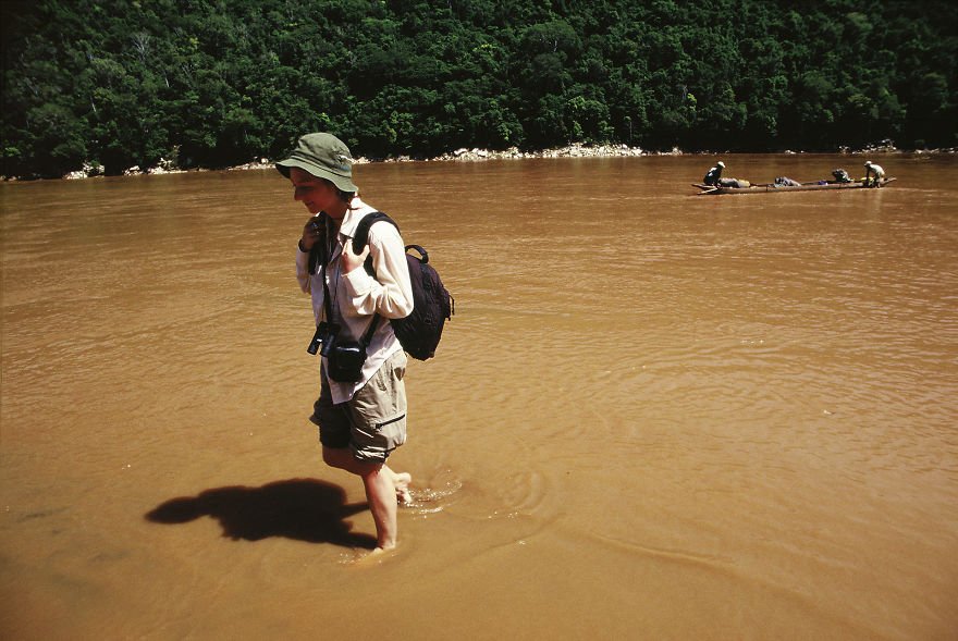Why Is Field Biology The Most Beautiful Job In The World Why Is Field Biology The Most Beautiful Job In The World