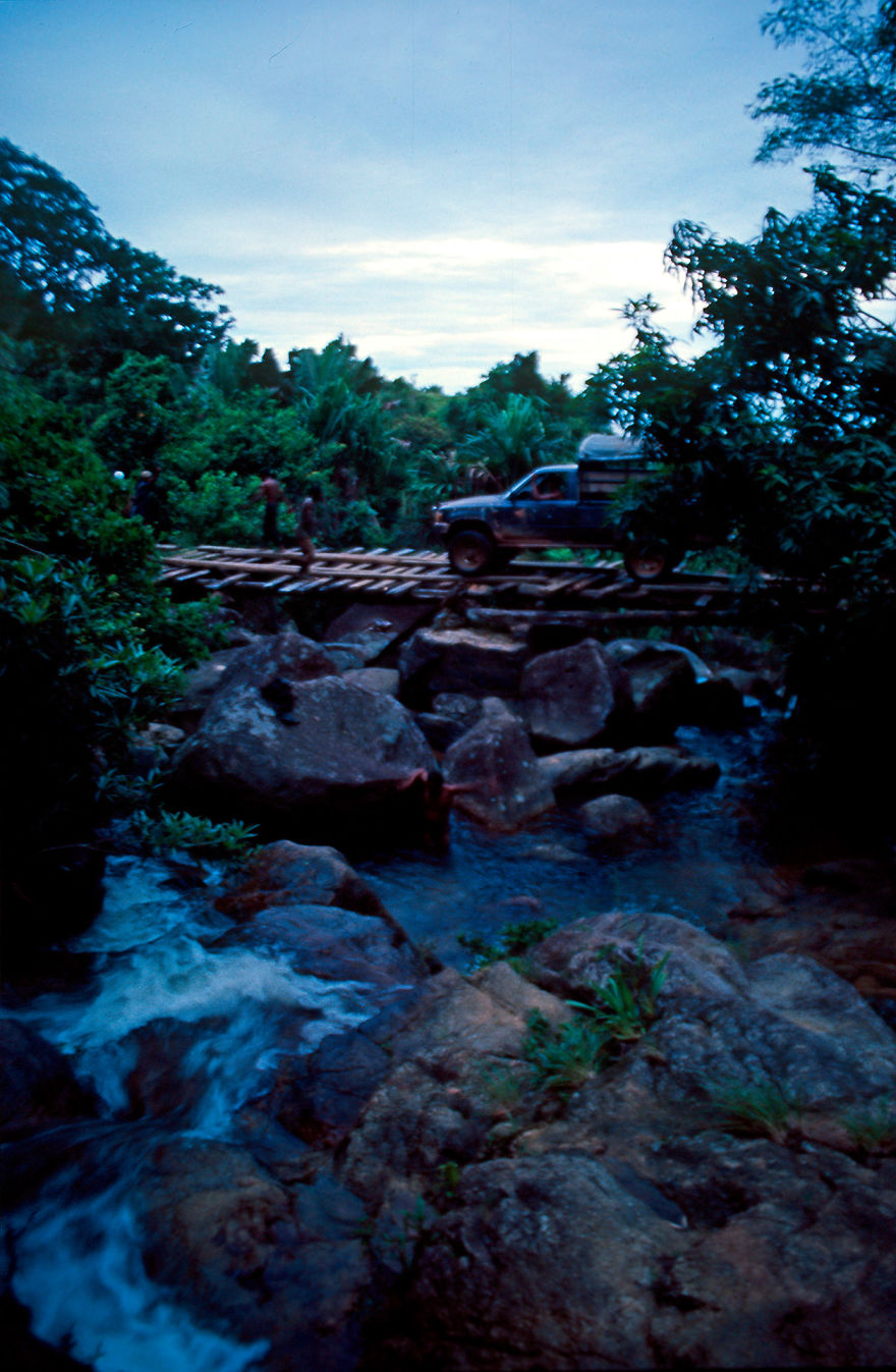 Why Is Field Biology The Most Beautiful Job In The World Why Is Field Biology The Most Beautiful Job In The World