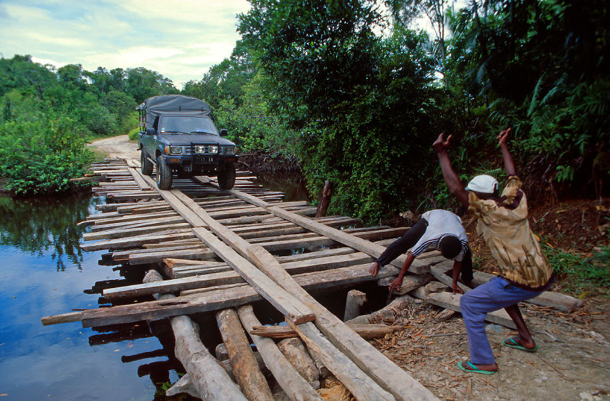Why Is Field Biology The Most Beautiful Job In The World Why Is Field Biology The Most Beautiful Job In The World