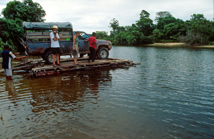 Why Is Field Biology The Most Beautiful Job In The World Why Is Field Biology The Most Beautiful Job In The World