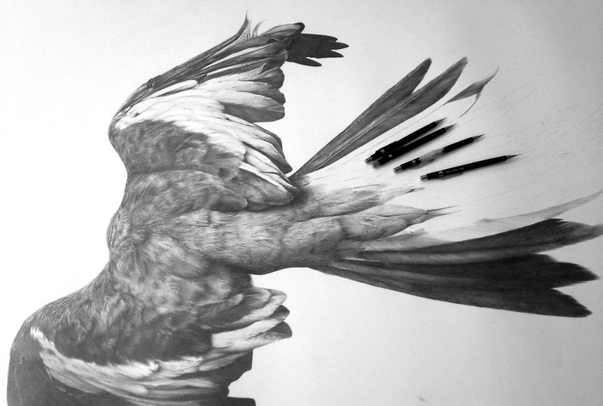 I Ripped This Illustration In Half I Ripped This Illustration In Half