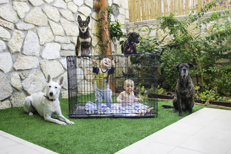 Help Us! Our Father Is A Photographer! Help Us! Our Father Is A Photographer!