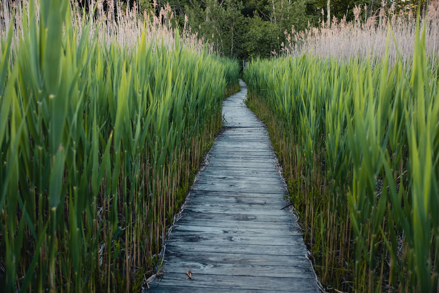 I Traveled 8000kms In 4 Weeks Through The Us And Canada And Made A Short Film About It I Traveled 8000kms In 4 Weeks Through The Us And Canada And Made A Short Film About It