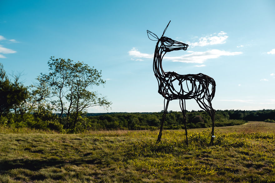 I Traveled 8000kms In 4 Weeks Through The Us And Canada And Made A Short Film About It I Traveled 8000kms In 4 Weeks Through The Us And Canada And Made A Short Film About It