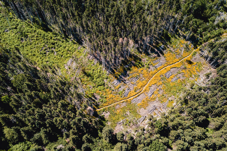 I Traveled 8000kms In 4 Weeks Through The Us And Canada And Made A Short Film About It I Traveled 8000kms In 4 Weeks Through The Us And Canada And Made A Short Film About It
