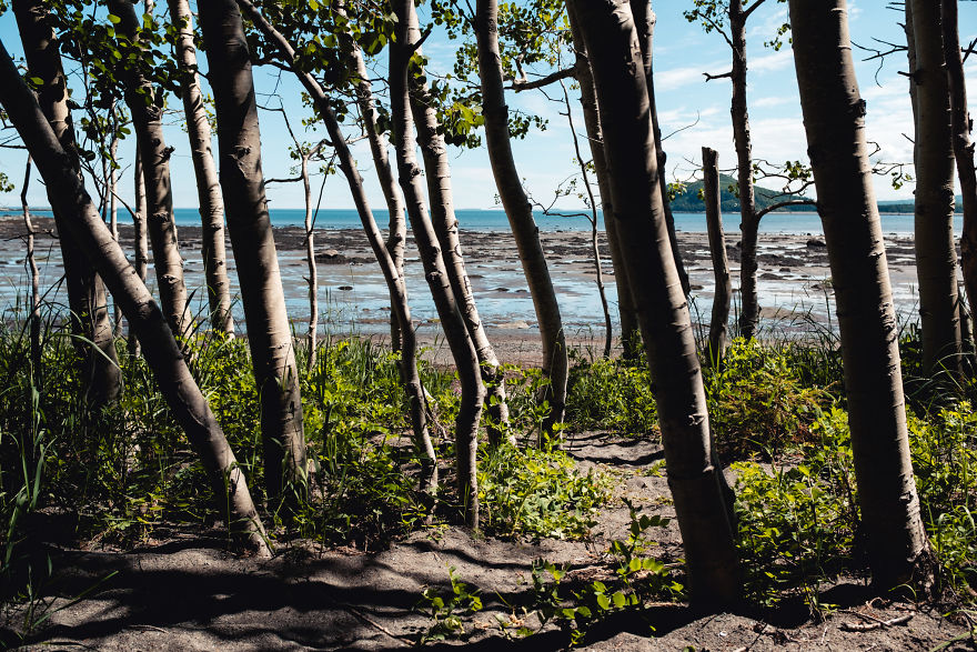 I Traveled 8000kms In 4 Weeks Through The Us And Canada And Made A Short Film About It I Traveled 8000kms In 4 Weeks Through The Us And Canada And Made A Short Film About It