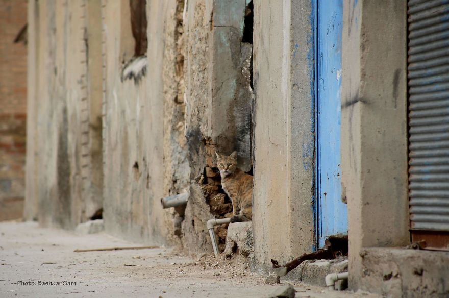 Photographer Captures Conceptual Photographs To Understand Kurds’ Identity Photographer Captures Conceptual Photographs To Understand Kurds’ Identity