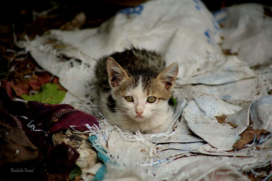 Photographer Captures Conceptual Photographs To Understand Kurds’ Identity Photographer Captures Conceptual Photographs To Understand Kurds’ Identity