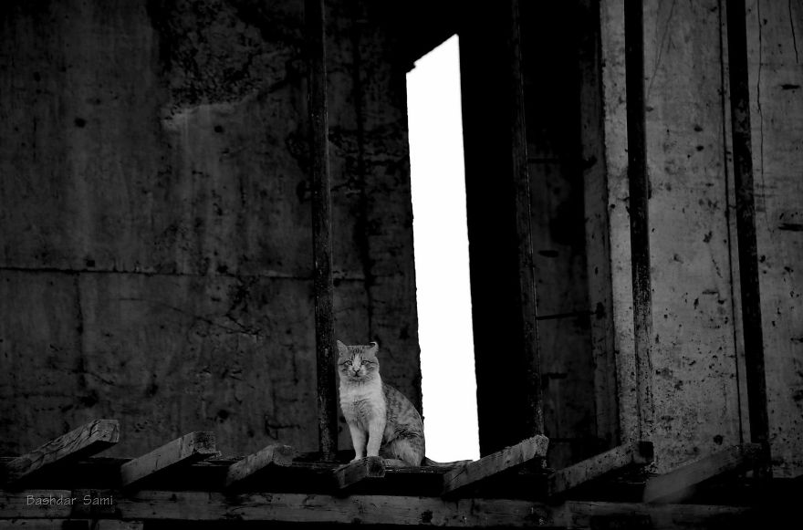 Photographer Captures Conceptual Photographs To Understand Kurds’ Identity Photographer Captures Conceptual Photographs To Understand Kurds’ Identity