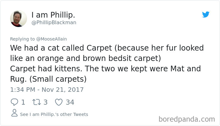 People Are Sharing The Names They Now Call Their Pets Instead Of The Original One, And It’s Hilarious People Are Sharing The Names They Now Call Their Pets Instead Of The Original One, And It’s Hilarious