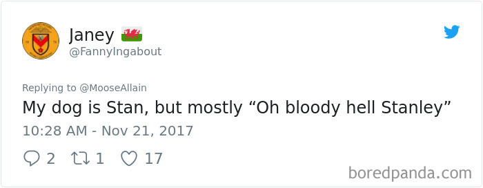 People Are Sharing The Names They Now Call Their Pets Instead Of The Original One, And It’s Hilarious People Are Sharing The Names They Now Call Their Pets Instead Of The Original One, And It’s Hilarious