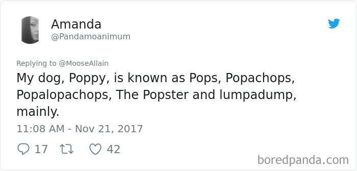 People Are Sharing The Names They Now Call Their Pets Instead Of The Original One, And It’s Hilarious People Are Sharing The Names They Now Call Their Pets Instead Of The Original One, And It’s Hilarious