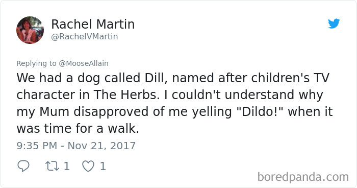 People Are Sharing The Names They Now Call Their Pets Instead Of The Original One, And It’s Hilarious People Are Sharing The Names They Now Call Their Pets Instead Of The Original One, And It’s Hilarious
