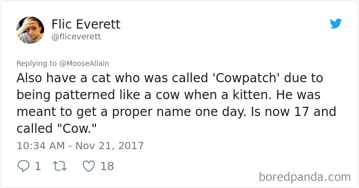 People Are Sharing The Names They Now Call Their Pets Instead Of The Original One, And It’s Hilarious People Are Sharing The Names They Now Call Their Pets Instead Of The Original One, And It’s Hilarious