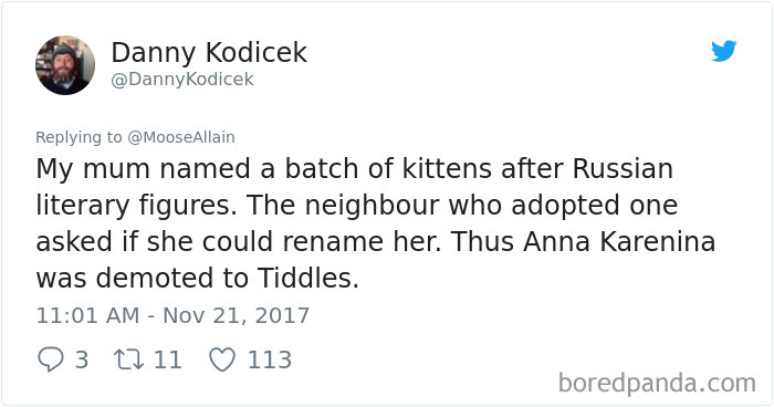 People Are Sharing The Names They Now Call Their Pets Instead Of The Original One, And It’s Hilarious People Are Sharing The Names They Now Call Their Pets Instead Of The Original One, And It’s Hilarious