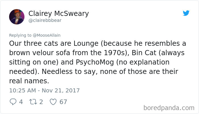 People Are Sharing The Names They Now Call Their Pets Instead Of The Original One, And It’s Hilarious People Are Sharing The Names They Now Call Their Pets Instead Of The Original One, And It’s Hilarious