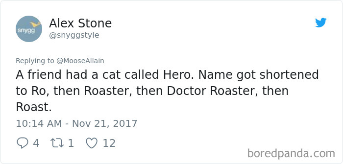 People Are Sharing The Names They Now Call Their Pets Instead Of The Original One, And It’s Hilarious People Are Sharing The Names They Now Call Their Pets Instead Of The Original One, And It’s Hilarious